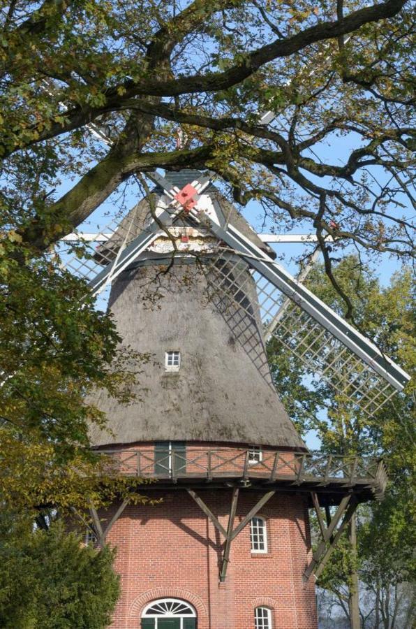 Ferienhaus Kleine Oase Varel Buitenkant foto